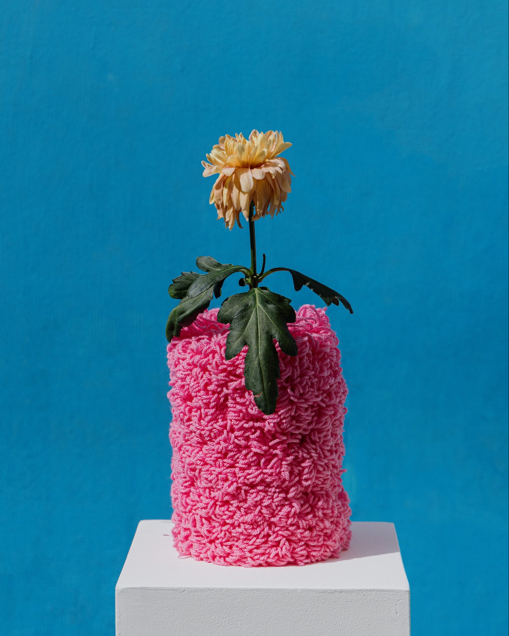 Vase Boucles Rose